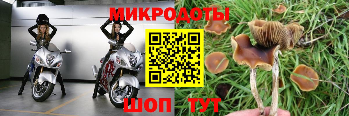 сколько стоит  Псилоцибиновые грибы Psilocybine cubensis  Вход с VPN  Псилоцибиновые грибы Psilocybe  Электрогорск 